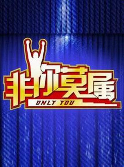 非你莫屬2015