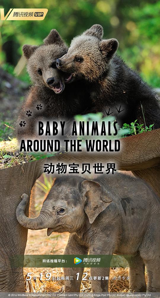 動物寶貝世界