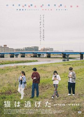 貓貓?zhí)幼吡?/>
<div id=